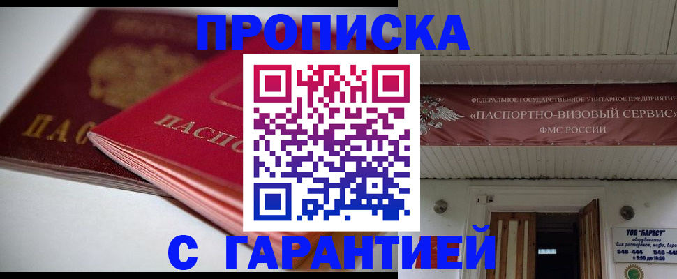 прописка гарантия в Тереке